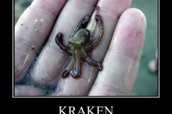 Kraken рабочий